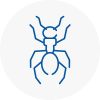 Ant Removals In Nunthorpe
