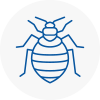 Bed Bug Extermination In Nunthorpe