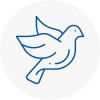 Bird Prevention Nunthorpe