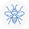 Nunthorpe Hornet Nest Removals