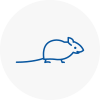 Mice Exterminators In Nunthorpe