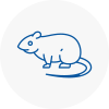 Rat Control Nunthorpe