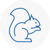 Nunthorpe Rodent Removals