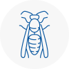 Nunthorpe Wasp Nest Removal